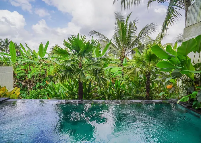 Villa Peacefull With Rice Fields View With 2 Bedroom Ubud